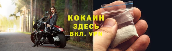 соль ск Абаза