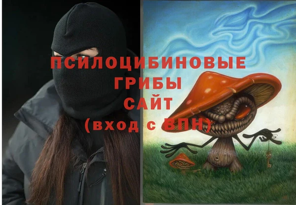 крисы Алзамай