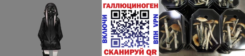 закладка  мориарти наркотические препараты  Галлюциногенные грибы мухоморы  Заринск 